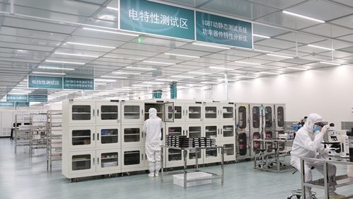 張家口的風，點亮北京的燈——海歸青年在綠色能源浪潮中顯身手