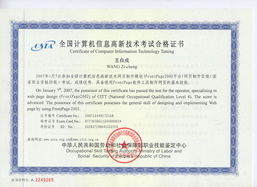 《網(wǎng)站組建與維護精品課 構建穩(wěn)固、高效的數(shù)字門戶》