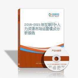 2016-2021年互聯(lián)網(wǎng)+人力資源市場(chǎng)運(yùn)營(yíng)模式分析報(bào)告